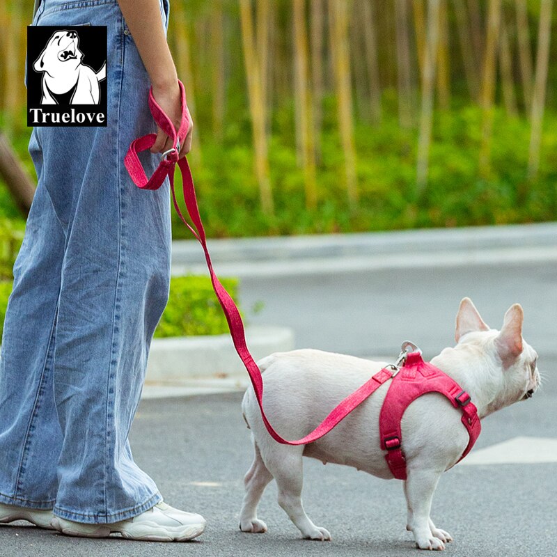 Truelove-Correa de cuerda ecológica para perro, correa de seguridad reciclada de liberación rápida para mascotas pequeñas y medianas, transpirable, para entrenamiento de perros y caminar