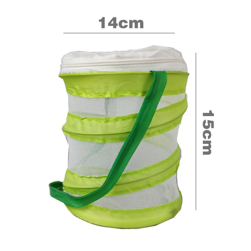Insect En Vlinder Habitat Vlinder Kooi Insect Fokken Mesh Net Outdoor Tuin Insect Voeden Observatie Doos