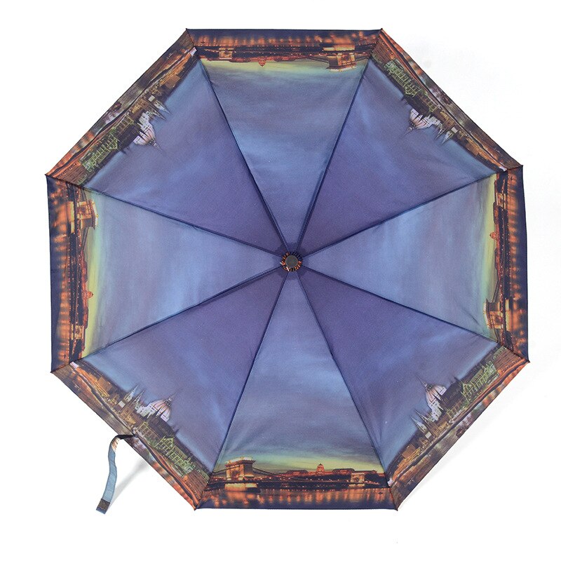 Paraguas de pintura de paisaje para hombre y mujer, sombrilla plegable a prueba de viento, equipo de lluvia, para hombre y mujer, Kari: A