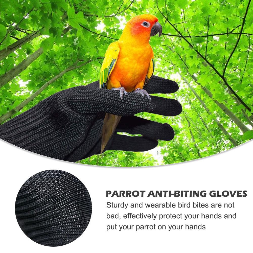 Fugletræning anti-bid handsker små dyrehåndtering wire handsker tygge beskyttelseshandsker til papegøje egern hamster pindsvin