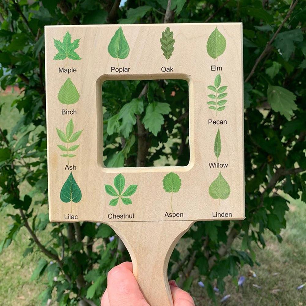Double-side Nature Guide Finder Leaf Finder Cloud ... – Vicedeal
