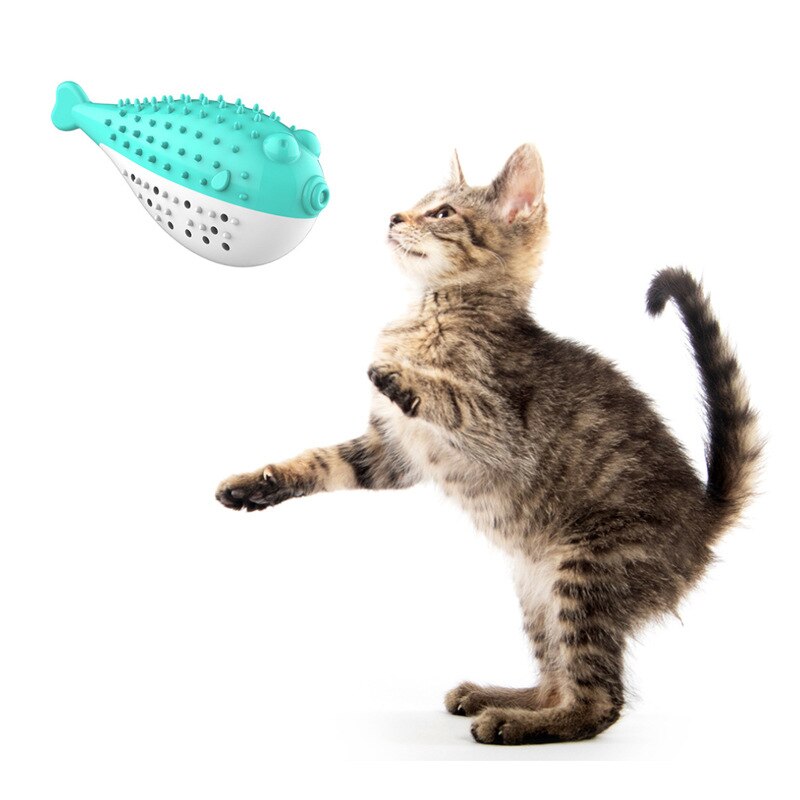 Szczoteczka robić zębów dla kota rozdymka tygrysia kształt czyste zęza pomocą miejsce kocimiętka używane wielokrotnie zabawki robić gryzienia dla zwierząt zabawny styl trwałe kolorowe zabawki dla kotów