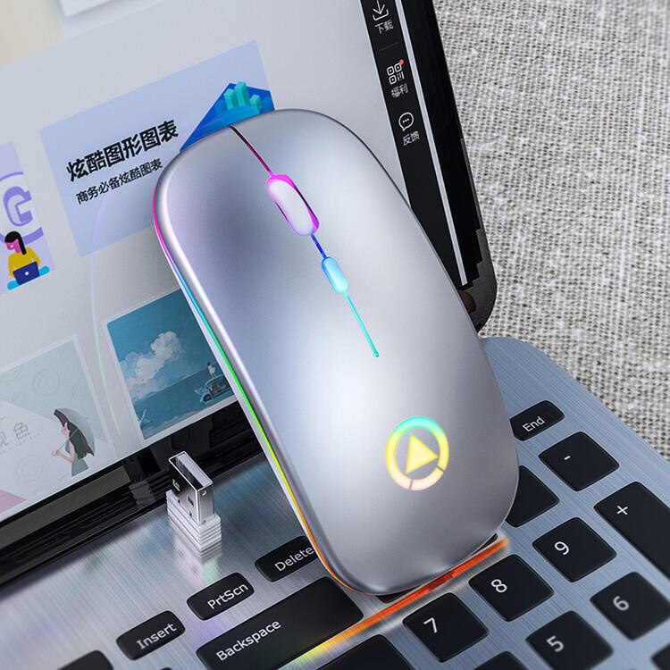 Rechargeable Mouse Wireless Silent LED Backlit Mice USB Optical Ergonomic Gaming: Silver