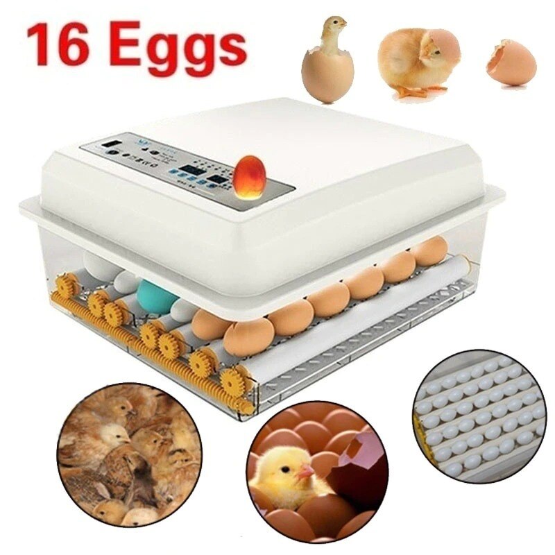 7/16 Eggs Incubator Brooder Bird Quail Incubator Chick Hatchery Incubator Poultry Hatcher Turner Automatic Farm Incubation Tool