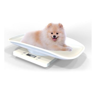 Kitchen Scale Digital Electronic Weighing Scale Coffee Scale Household Baked Food Scale Tray Scale 5KG/1g Cat Dog Pet Scale: White 10KG-1g