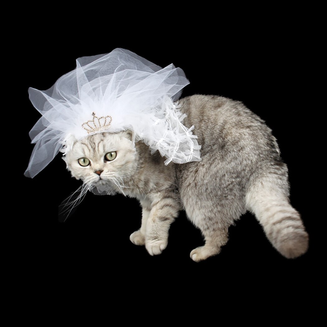Diadema de creativa para gato, velo decorativo para boda, tocado para mascota, disfraz para , accesorios para gato