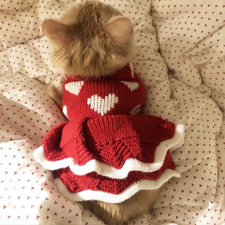 Nueva falda para mascotas, ropa de princesa para pastel de gato, vestido de perro, suéter, corazón rojo, vestido de princesa para gato