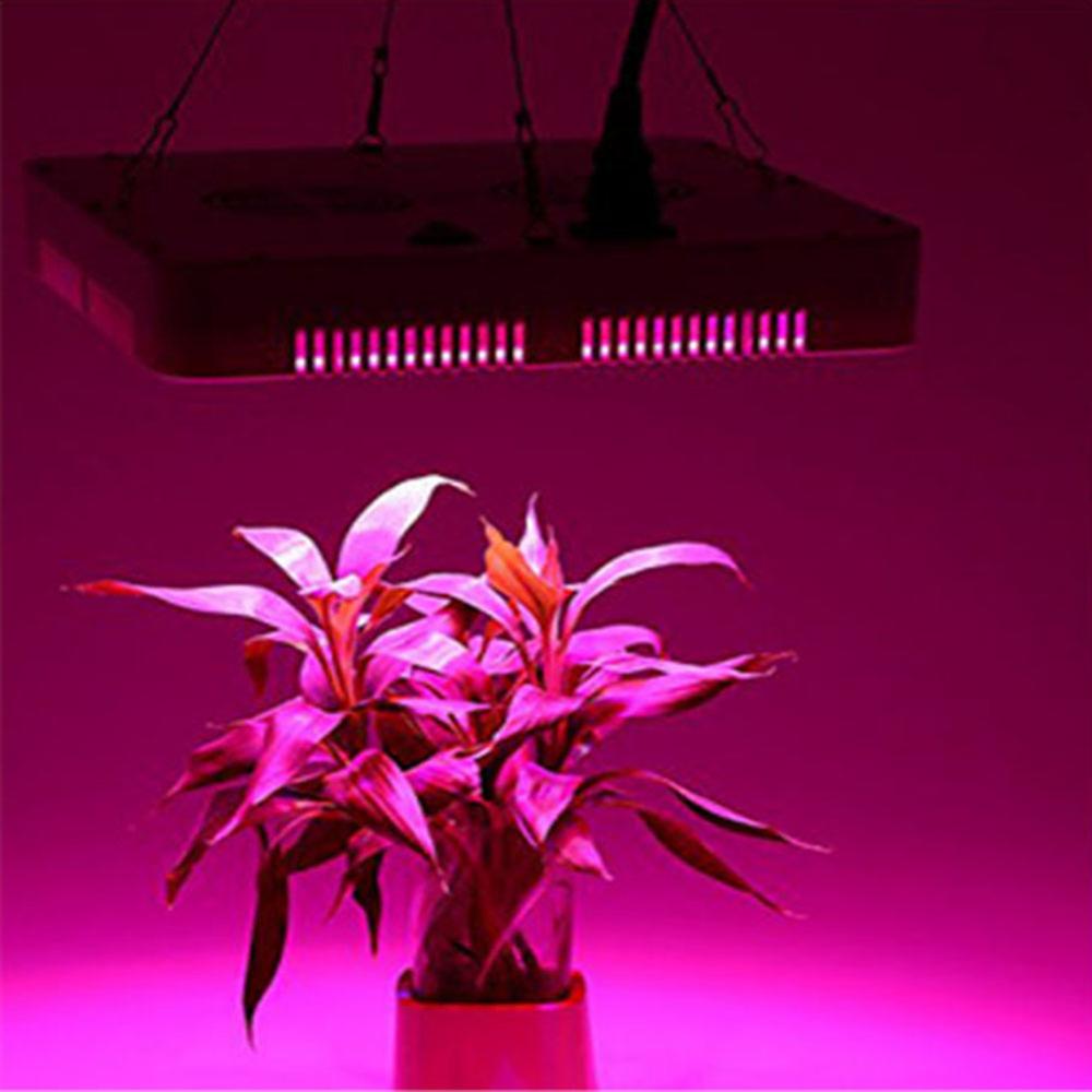 Plants Growing Lamps Full Spectrum Plant Grow Led Light For Greenhouse Grow Tent Plants Seedling and Flower Plants Grow Light