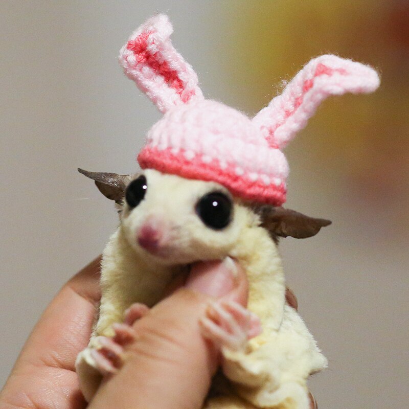 Shrew-sombrero para hámster tejido a mano, mini disfraz de animal bonito, sombrero de dibujos animados, ropa para mascotas