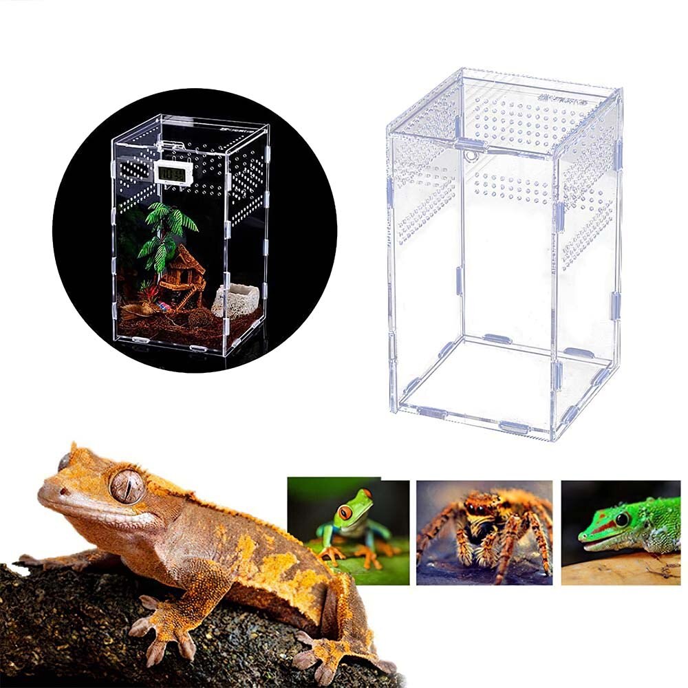 Reptile Breeding Box Acrylic Transparent Sliding Cover Reptile Tank Insect Spiders Tortoise Lizard Feeding Box Terrarium
