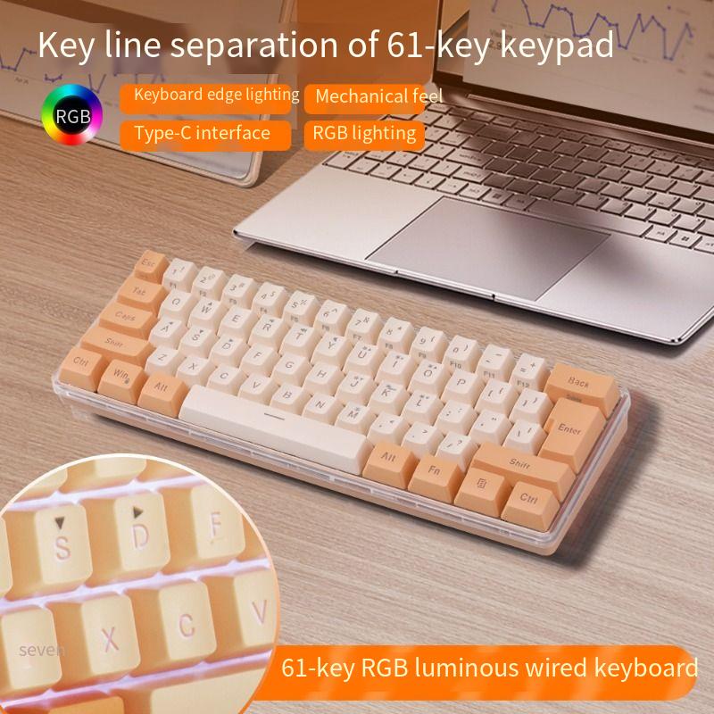 61 key notebook desktop wired gaming mini keyboard RGB illuminated keyboard