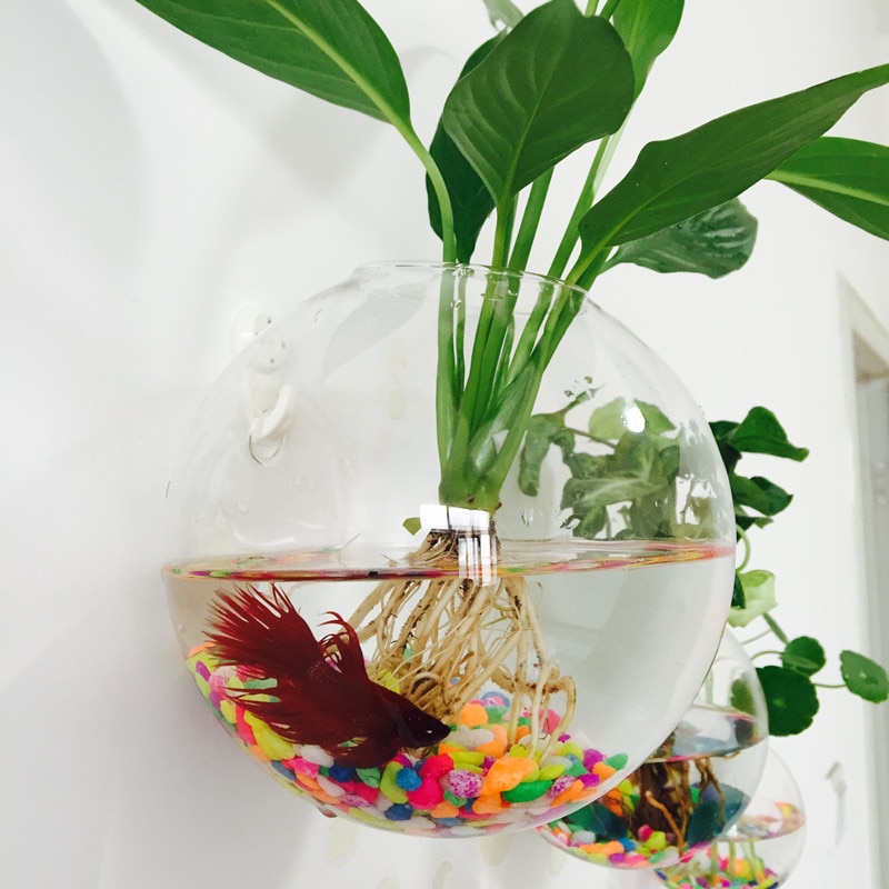 Diameter=10cm Wall Mounted Glass Terrarium Vase with open Home Decorative Hanging Glass Vase Glass Fishbowl