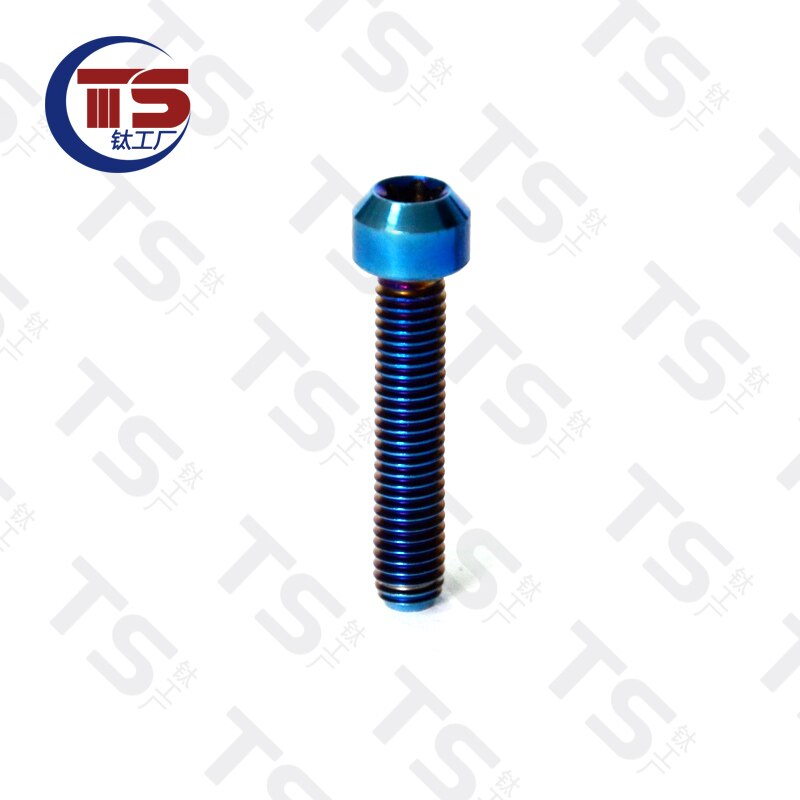 TS Titanium Alloy TORX Head Bolts Screw M5X65mm Allen Key Hex Screw for Bicycle Motorcycle Fastener（1pc）: Burn blue
