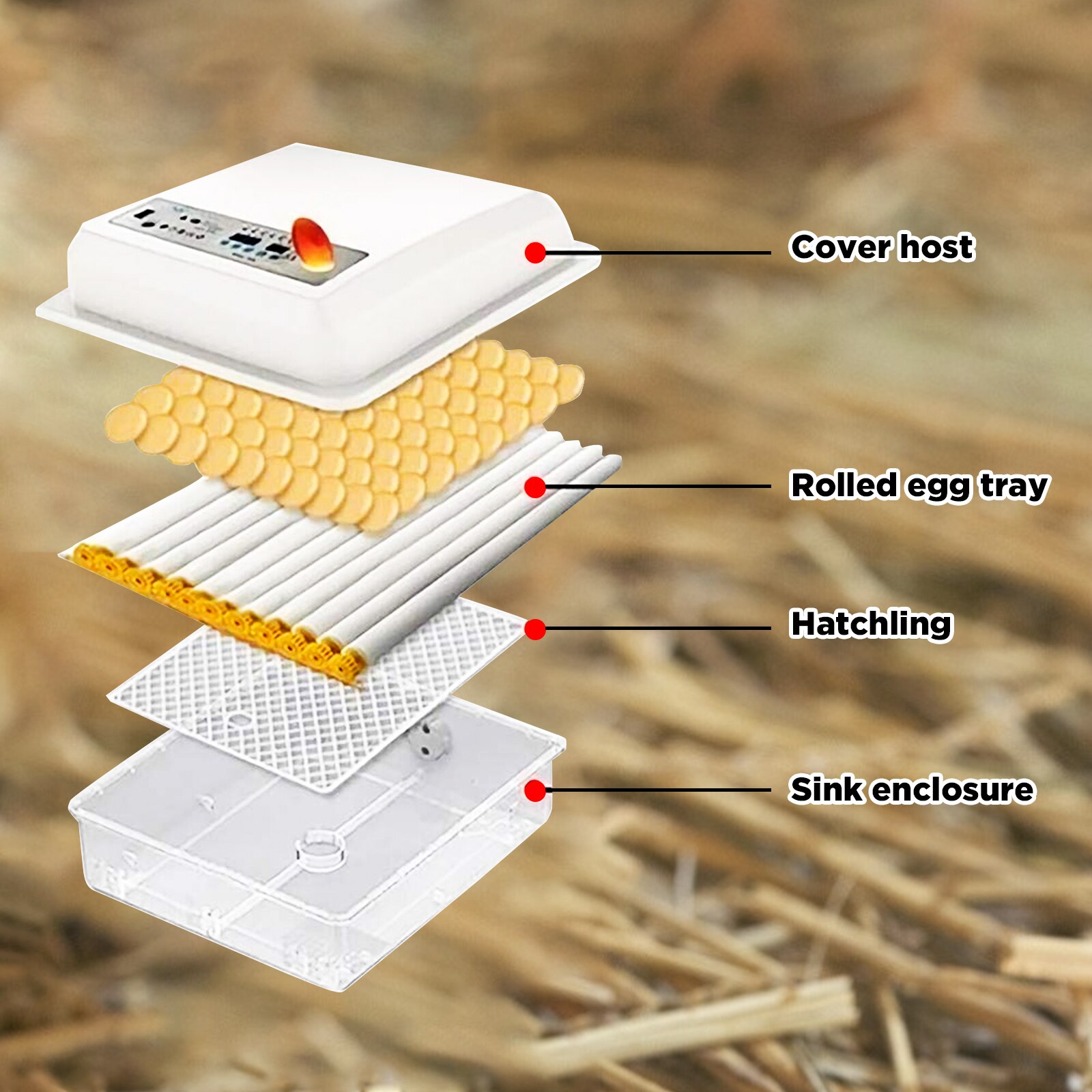 16 Egg Automatic Incubator Brooder 110V/220V DC12V Digital Mini Brooder Machine with Turner Hatcher Chicken Incubation Equipment