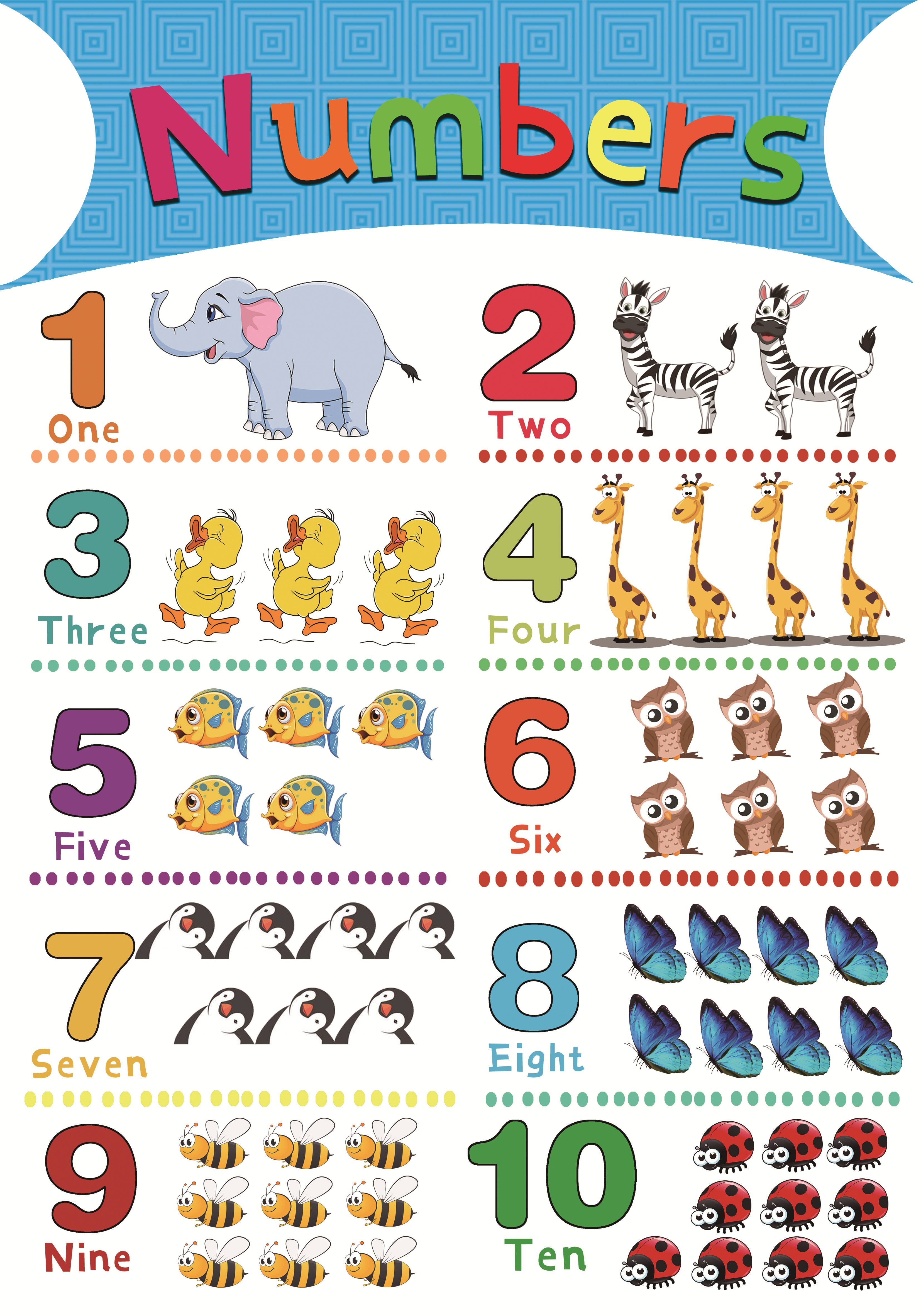 1Pcs 40X28Cm Materials for Children's Primary Education Paper Alphabet,number,color,seasons,farm Animals,solar System: Number