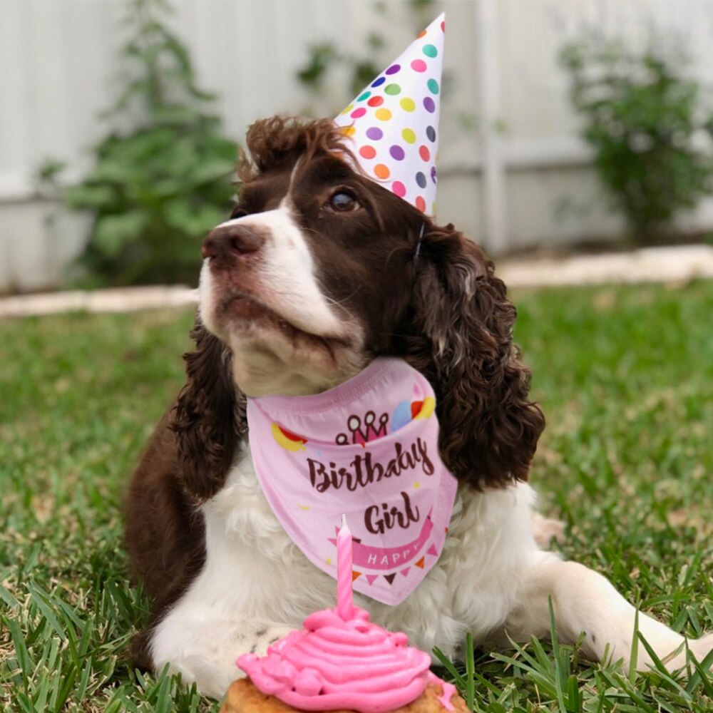 Bavoir pour chien d'anniversaire | Écharpe pour tête, foulard pour chien, chat ou chiot, accessoires de fête d'anniversaire pour chiens moyens et grands: Rose