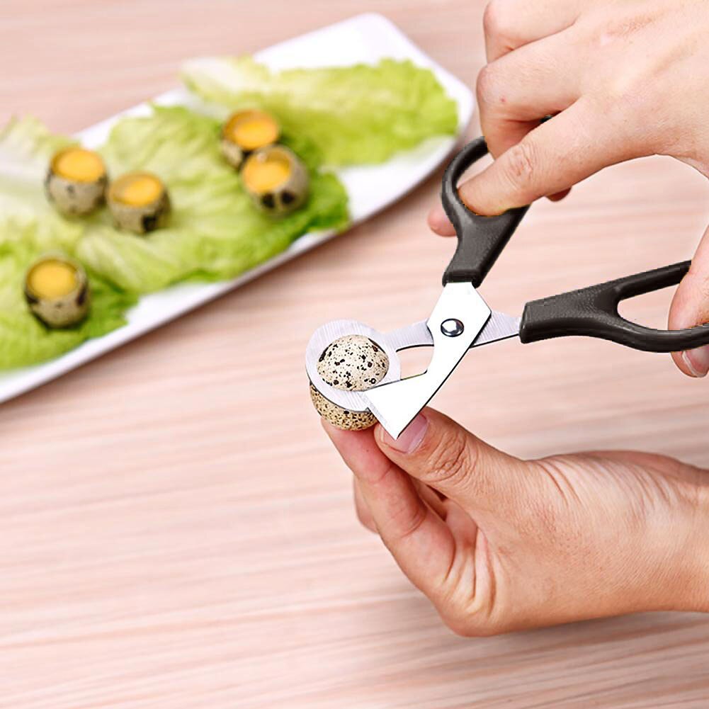 Ciseaux coupe-oiseau, ouvre-oiseau, outil de cuisine, de coquilles, ciseaux craquelins, cigare, lame en acier inoxydable