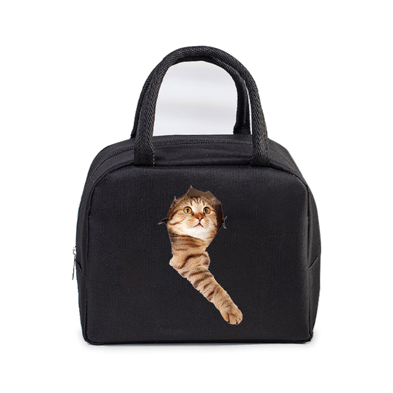 Lunch Bag for Women Men Insulated Portable 3D Cartoon Cats Multifunctional Bag Thermal Food Container School Kids Picnic Handbag: Lawenda