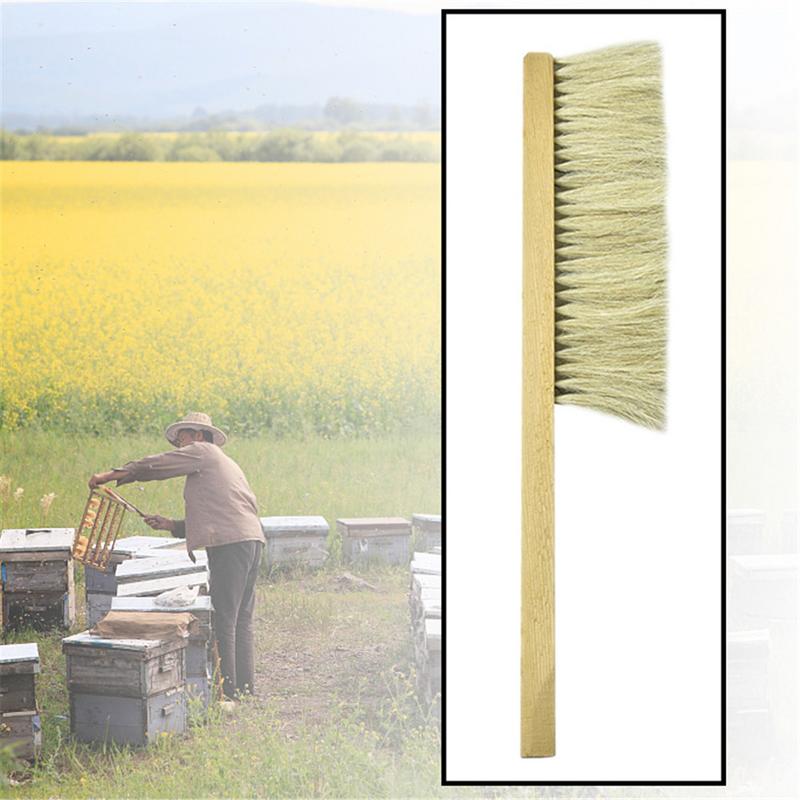 Herramientas de apicultura cepillo de barrido de avispa de madera dos filas de pelo de cola de caballo cepillo de abeja equipo de Apicultura