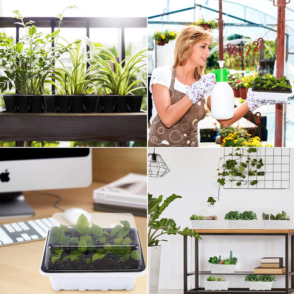 Bandejas de iniciación de semillas de 2 piezas, 60 células grandes, bandeja de plántulas, Kit de cultivo de plantas con tapa y Base para germinación de semillas (6/12 celdas por bandeja)