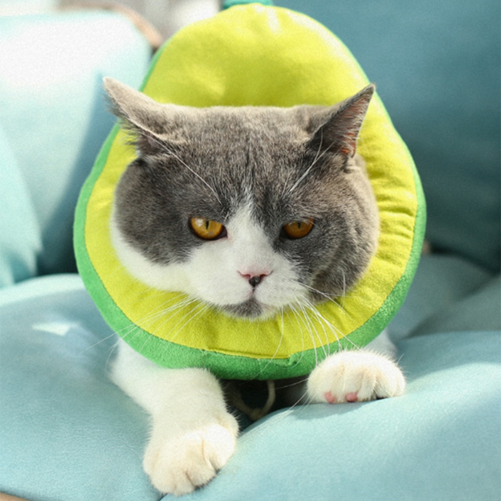 Adjustable Bread Shape Pet Protective Collar Dog Cat Neck Cone Recovery Cone Anti-Bite Surgery Wound Healing Cat Dogs Collar