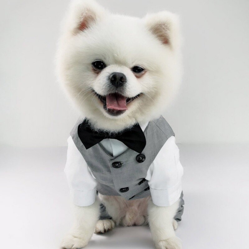 Chaleco de esmoquin para perro, traje Formal con pajarita para perros pequeños, medianos y grandes, traje de caballero para mascotas, boda, de cumpleaños