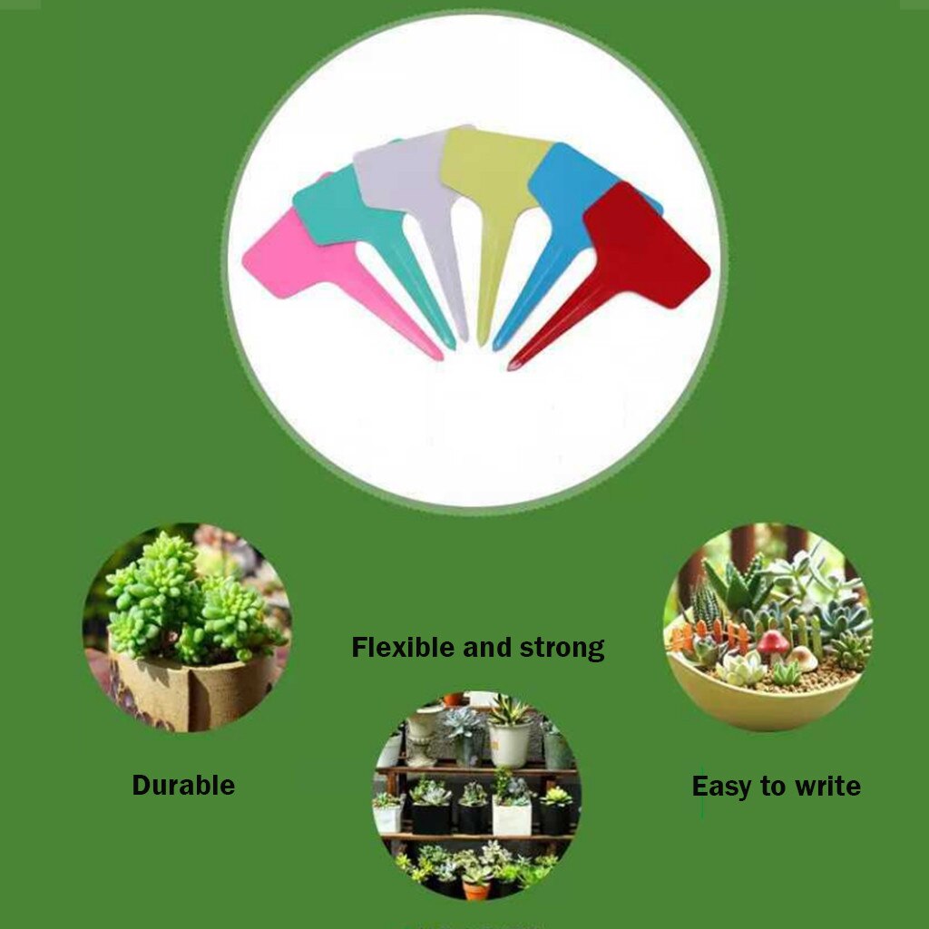 100 pièces jardinage étiquettes pépinière bonsaï étiquette plastique plante Type T étiquette plante Pot planteur légume étiquette étiquettes plante marqueur # LJC