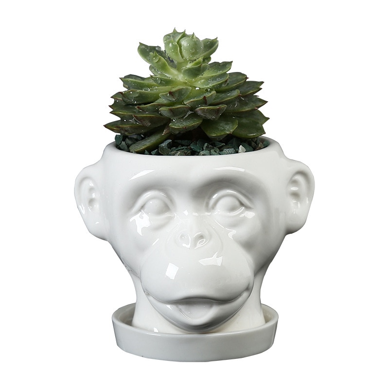 Cartoon aap keramische bloempot dier vetplanten bloempot containers huis buiten tuin mini bonsai bureaubladdecoratie met dienblad