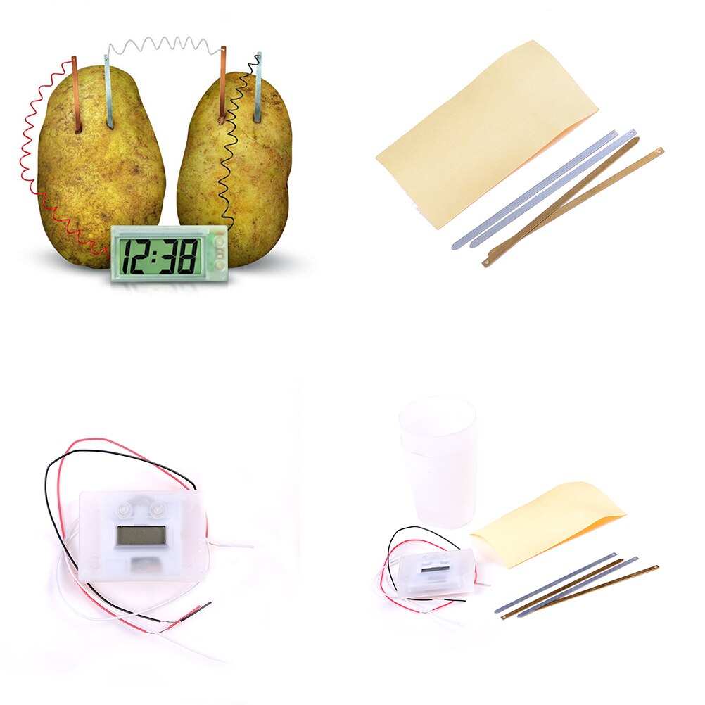 Reloj de patata célula electroquímica suministros de Material de experimento, Escuela divertida Kit de ciencia verde Material de bricolaje educativo