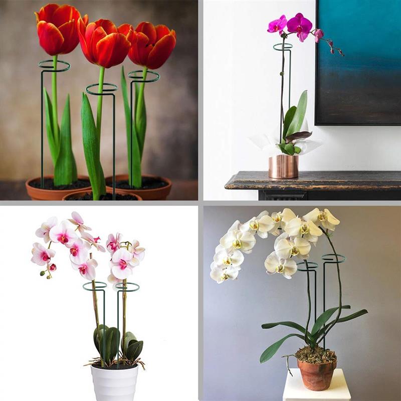 Kasvin tukirengas, puutarhan yksivarren tukipaalu kasvihäkki tukirenkaat amaryllis tomaateille orkidea lilja pioni