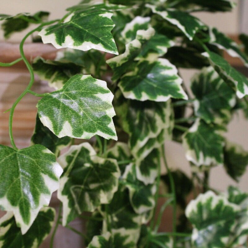 Merke stil plast kunstig etterfølgende eføy kranser vinplante hage bryllup utendørs innendørs