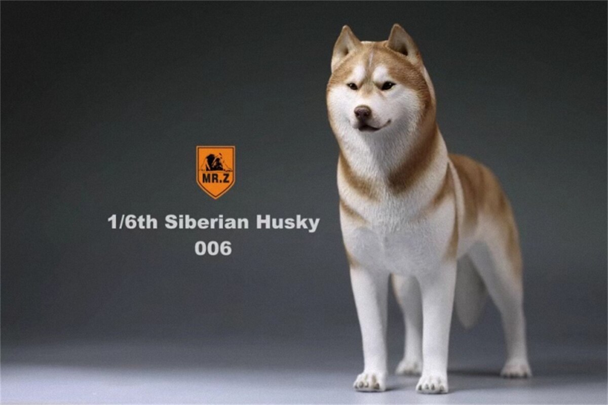 Herr.Z Studio 1:6 Simulation sibirisch heiser Hund Haustier Huskie Figur Ebene Dekor Modell Spielzeug Art Harz Ornamente Hund Hand zu tun