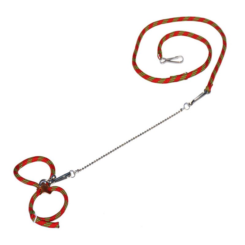Adjustable Cute Pet Rat Mouse Hamster Harness Ropes Pet Hamster Leashes Lead Collar for Rat Mouse Pet Outdoor Supply: Red Green