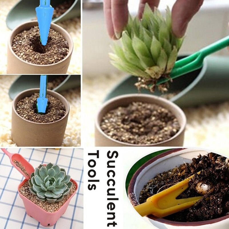 6 Pièces/ensemble Mini Outils De Jardin Succulentes Kit De Plantation Transplantation Outils Soins Des Plantes Main Transplanteren Tuinieren Ensemble D'outils