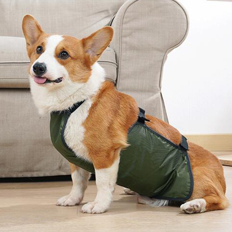 Carlin Corgi animal de compagnie chien Bellyband vêtements imperméable respirant Anti ventre couverture bavoir poche chien Costume Corgi Bellyband gilet