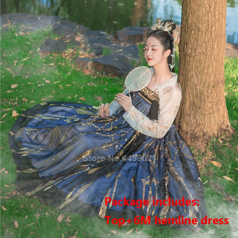 Women Chinese Style Traditional Folk Dance Costume Oriental Han Dynasty Fairy Performance Hanfu Crane Singer Printed Skirt Set: Color3 / XL