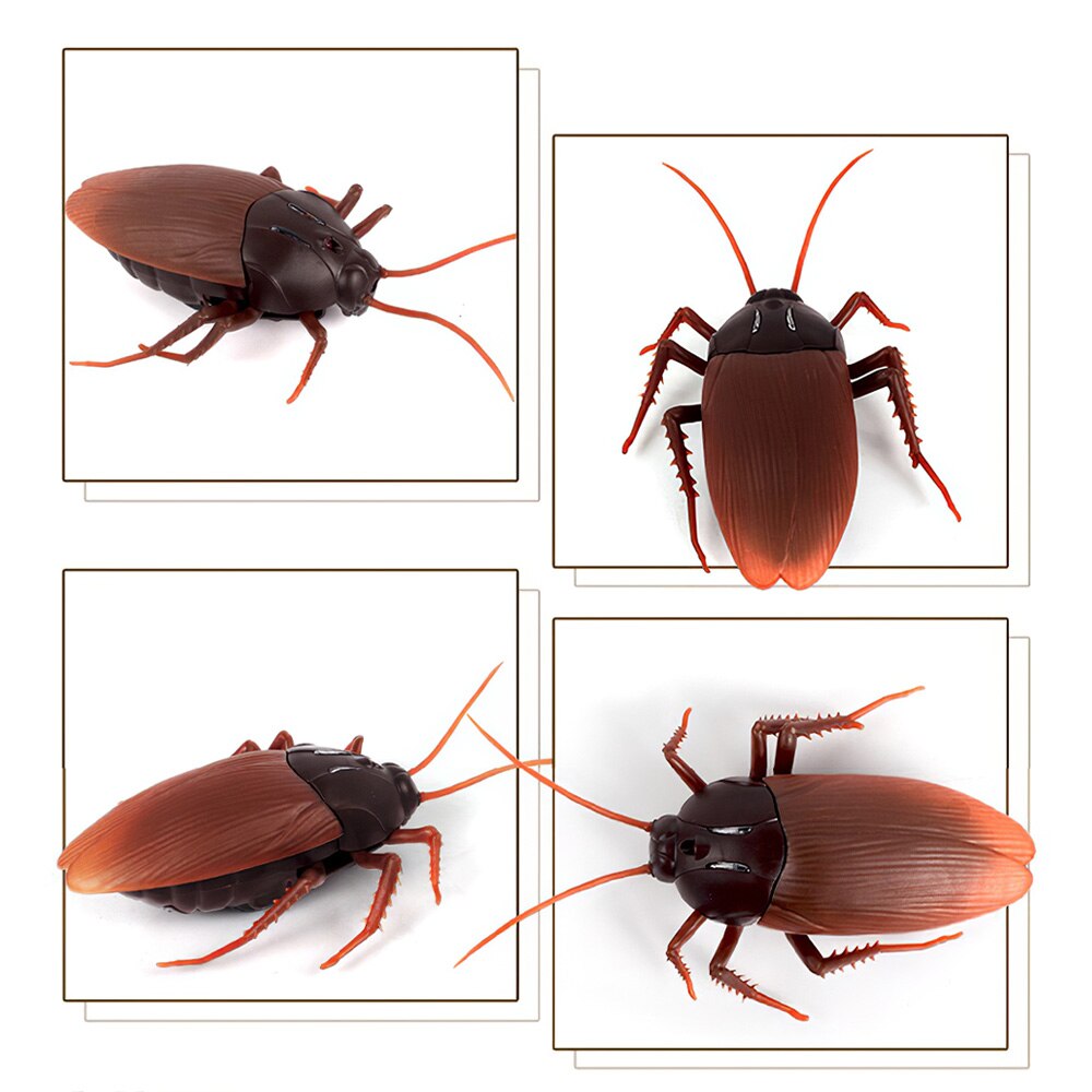 Jouet pour blague d'insecte, 1 pièce, effrayant, caniche en mouvement, Animal RC, Horrible, électricité, faux cafard, d'halloween