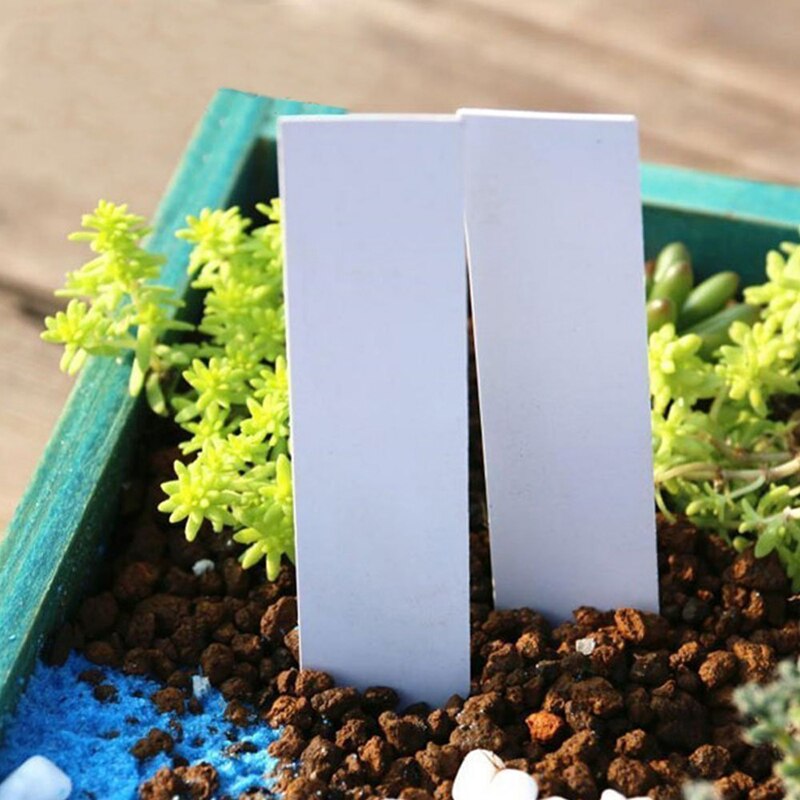 Etiquetas de PVC de 100 piezas para plantas de jardín, etiquetas brillantes para macetas de flores, marcadores de vivero, herramientas de marcado de bandeja, accesorios de jardín