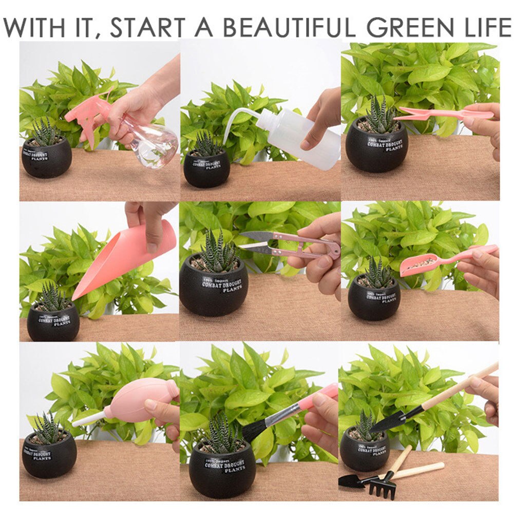 Garden Planter Kit Succulent Planting Bonsai Fertilizer Transplant Seedling Tool Transplanting Tool Indoor Gardening