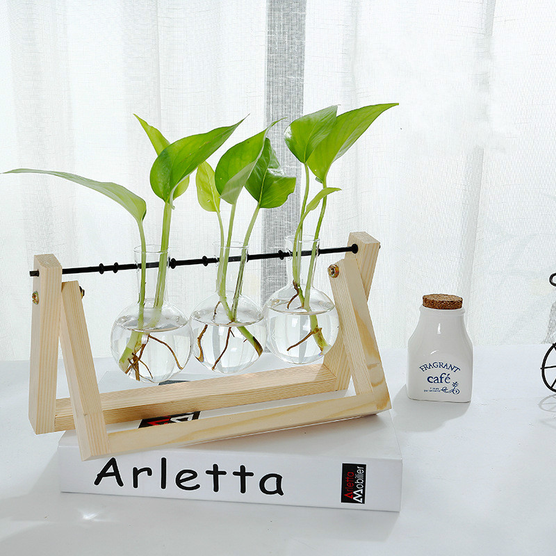 Terrarium hydrocultuur plant transparante vaas houten frame vaas decoratie glazen tafelplant bonsai decoratie bloemenvaas