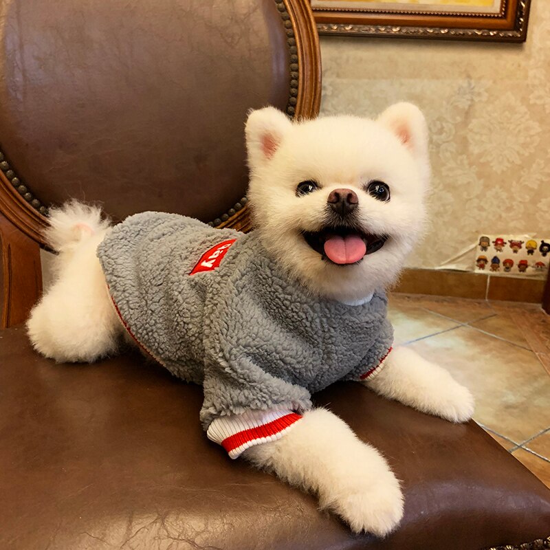 Petcircle kæledyrstøj bamse pomeranian lille hund hvalpe tøj hvalp hund fortykning efterår og vinter skjorte med rund hals