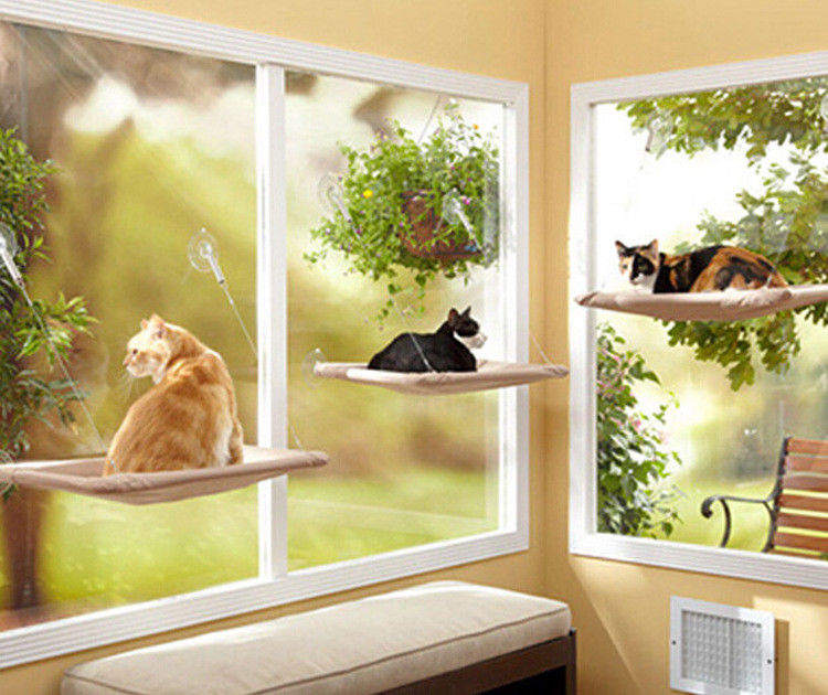 Vaskbart blødt kattepude seng hængekøje vinduesmonteret mat kæledyrsforsyning pladsbesparende pude hængende hylde suges hvilestol