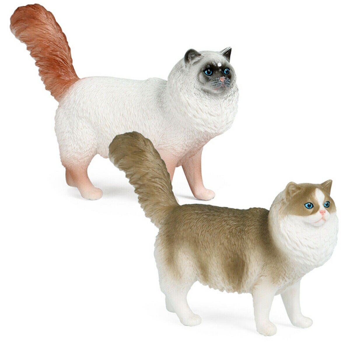 Ragdoll Cat Figuur Felidae Realistische Animal Model Decor Collector Kids Toy