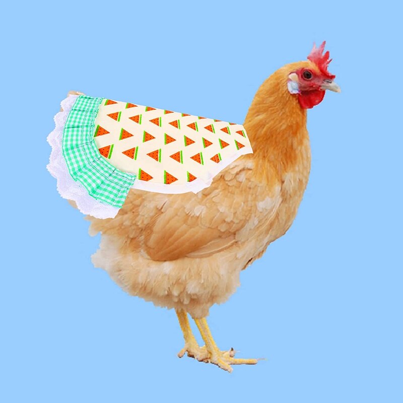 6 Pack Chicken Saddle for Hens-Fruit Pattern Summer Standard Chicken Saddle with Elastic Straps Feather Fixer