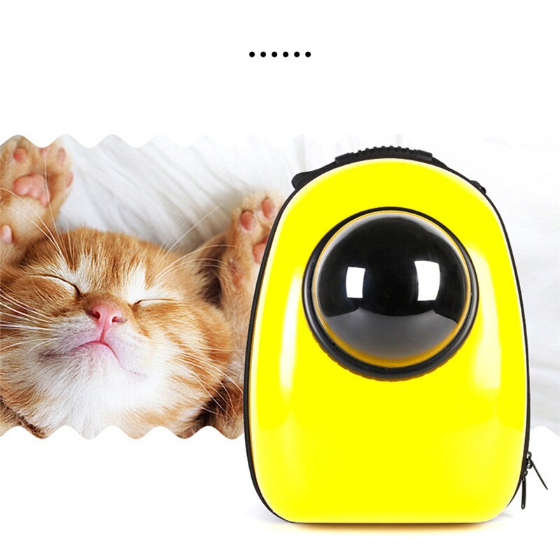 Expandable Cat Carrier Backpack, Space Capsule Bubble Cat Carrier for Small Dog, Pet Hiking Travel Camping Backpack (Black, Back Expandable
