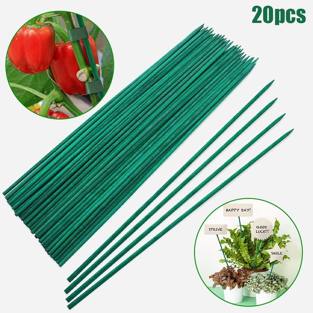 Bastones de bambú para plantas, Estaca de bambú para flores, palos de repuesto profesionales, Clips para plantas, arreglo de flores, suministros de jardín: G-20pcs-40cm