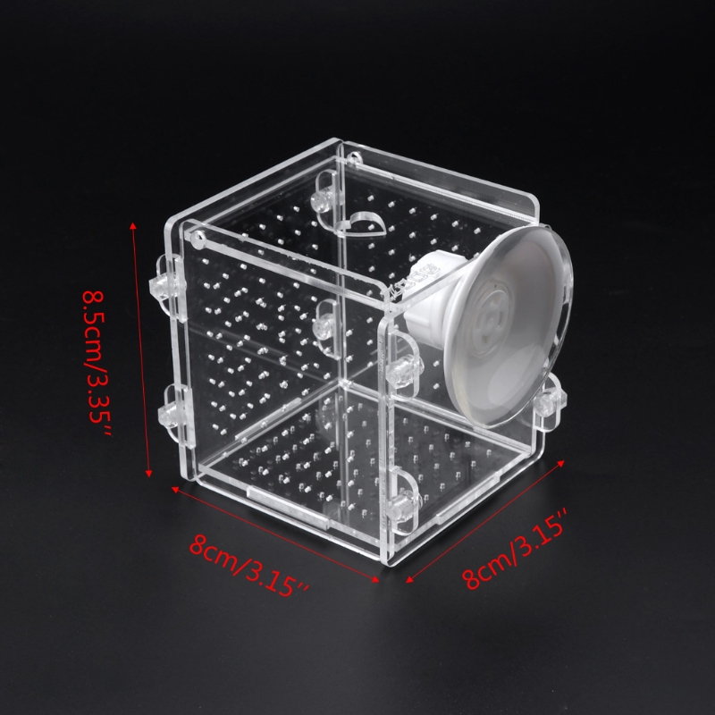 Aquarium Visteelt Isolatie Box Aquarium Incubator Fokker Voor Baby Vis