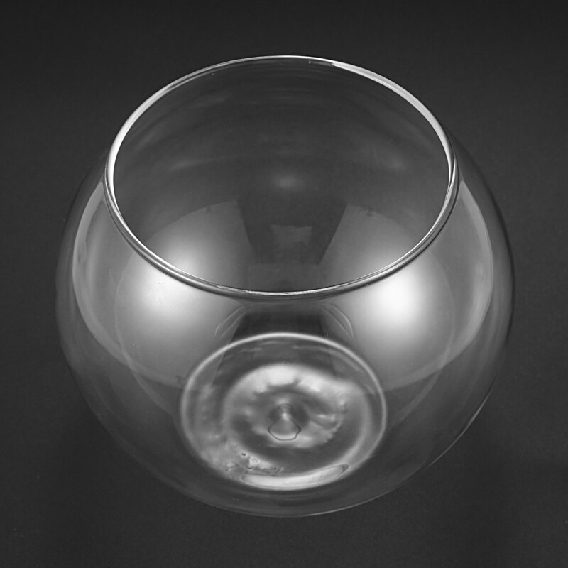 LBER Round Sphere Vase in Transparent Glass Fish Tank