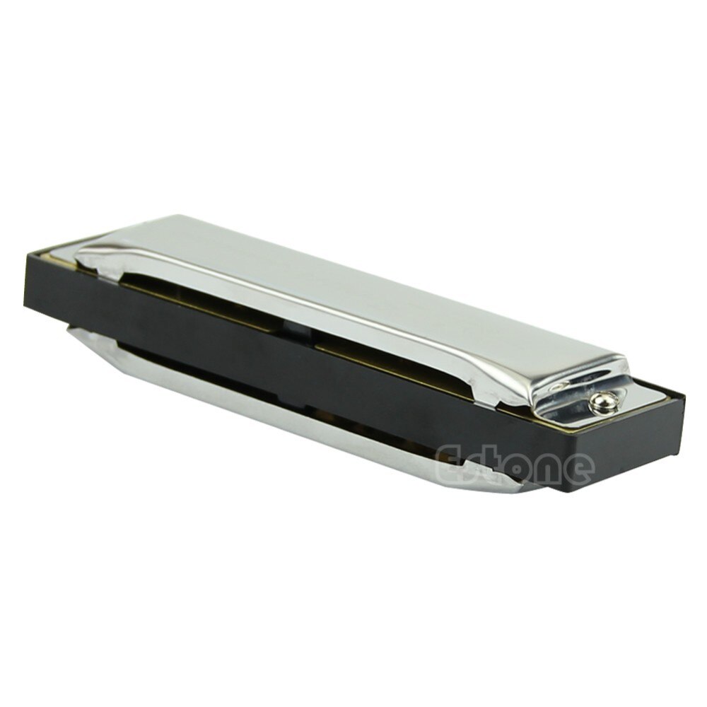 Harmonica Diatonique Professionnel, Clé De Do, 10 Trous, 20 Tonalités, 008 K, Avec étui Et Chiffon De Nettoyage Pour Adultes, Joueurs, Débutants