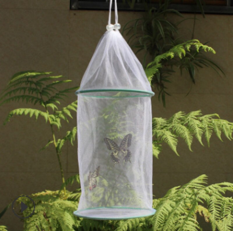 Cage à insectes Transparent suspendu Nature Observ... Grandado — free download